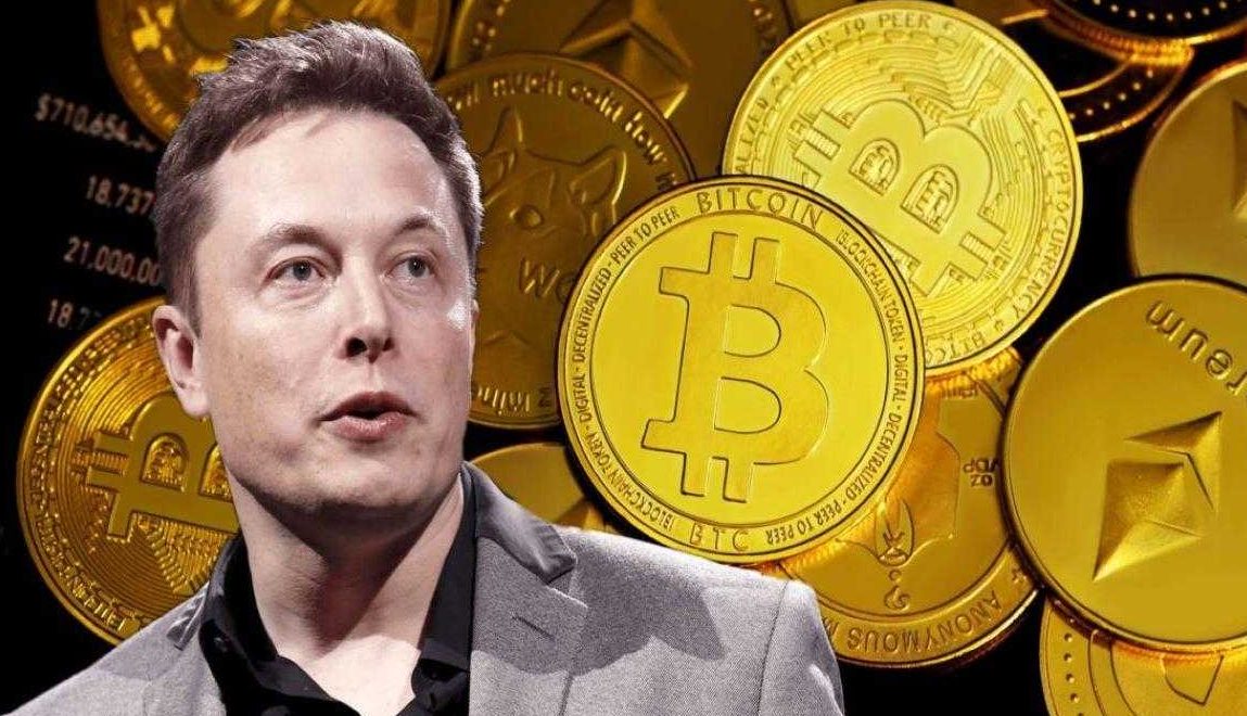 elon musks crypto currency